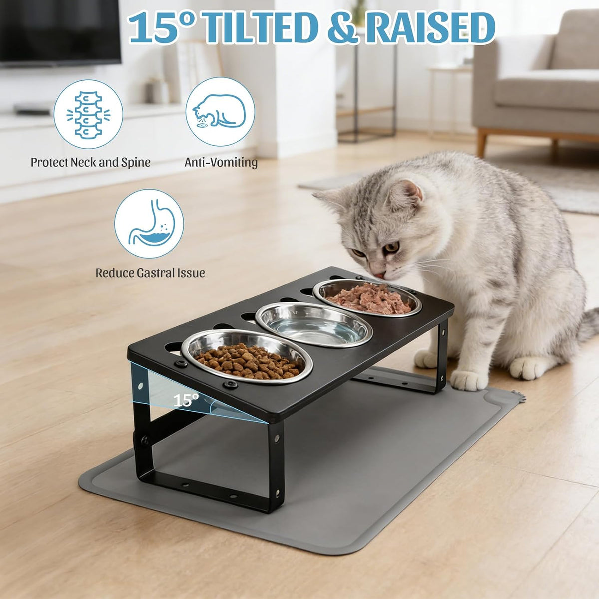 Upgraded Elevated Cat Bowls with Food Mat for Indoor Cats, Black