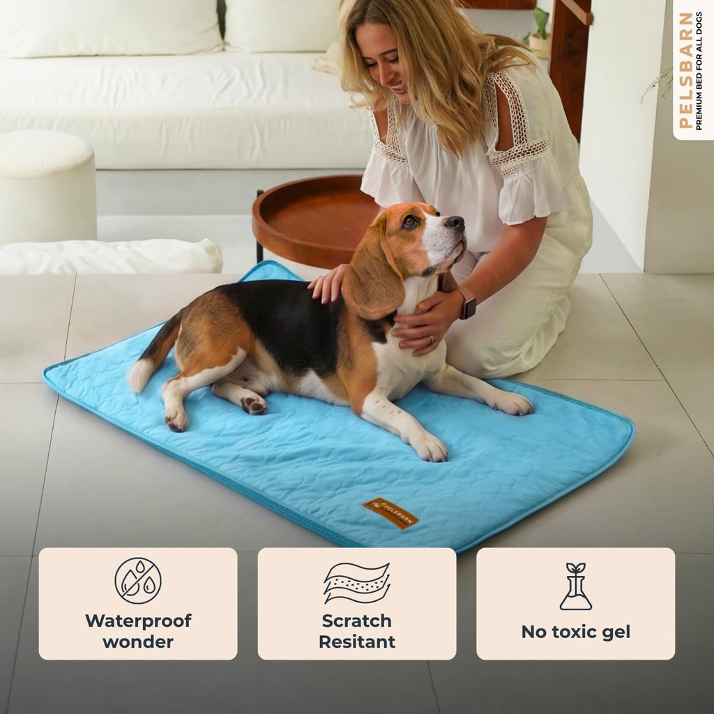 Pelsbarn Dog Cooling Mat, Ice Silk Self-Cooling Pad, Light Blue, M