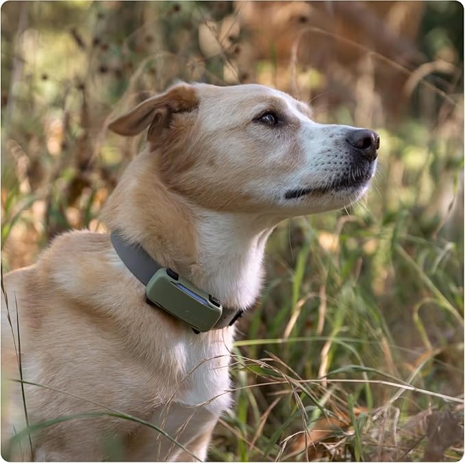 Tractive GPS Dog Tracker Real-time Pet Location Tracker | Health & Wellness - Image 10