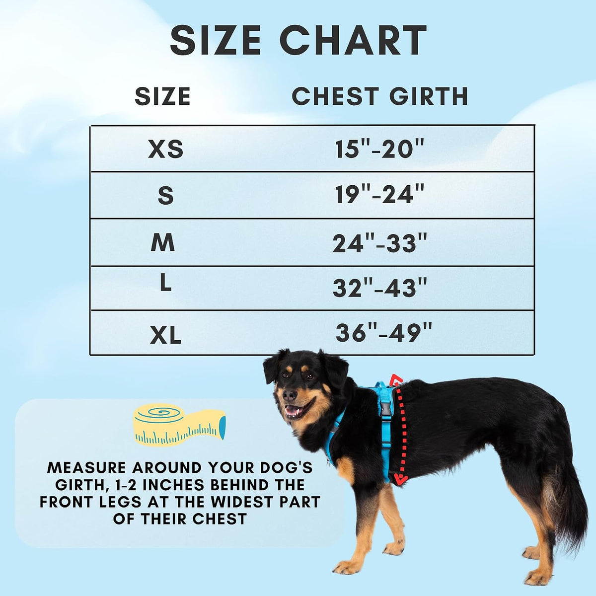 ShawnCo Basecamp Dog Harness, No-Pull Pet Vest (Electric Blue,S)