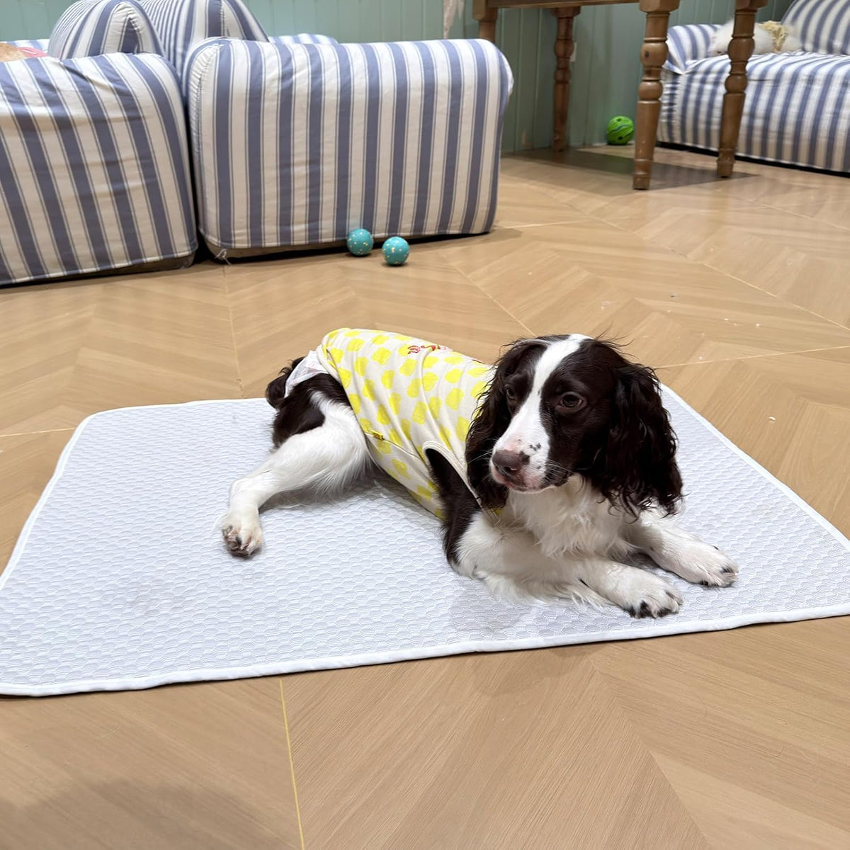 Cooling Mat 38"x26" for Medium Dogs, Waterproof Thin Pad, M
