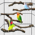 kathson 5pcs Natural Parrot Perch by kathson