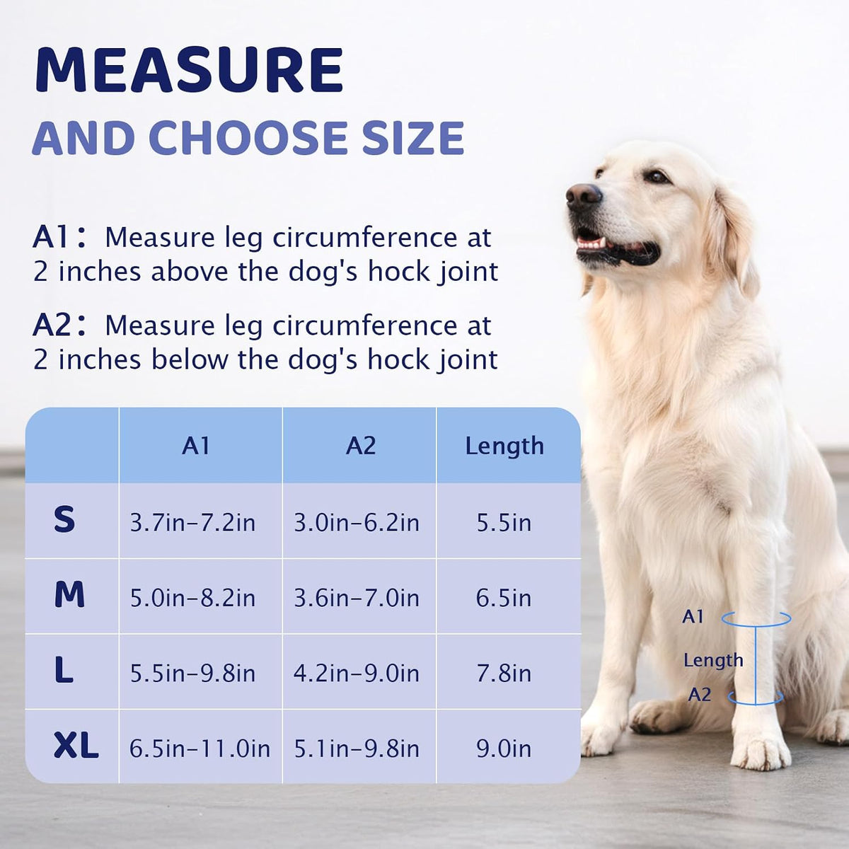 Dog Wound Care Front Legs Hock Wrap Compression Providing Stability M