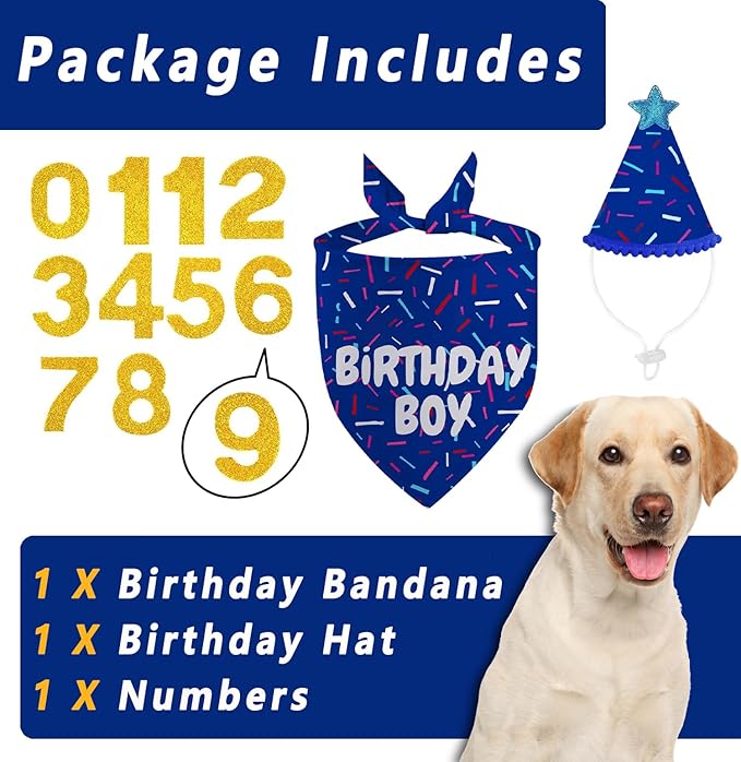 Dog Birthday Bandana Set, HBD Party Supplies - Image 3