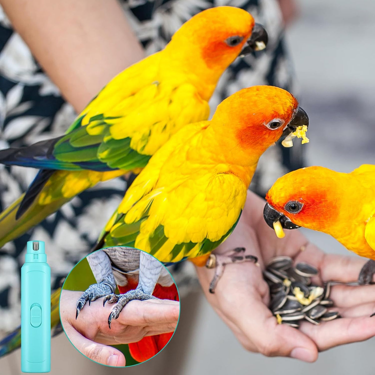 Lasnten 2 Pcs Bird Nail Grinder with Clipper Bird Nail Trimmer File Pet Grooming Tool for Parrot Budgerigars Parakeets Myna Conure Finches Lovebirds (Cyan Blue)