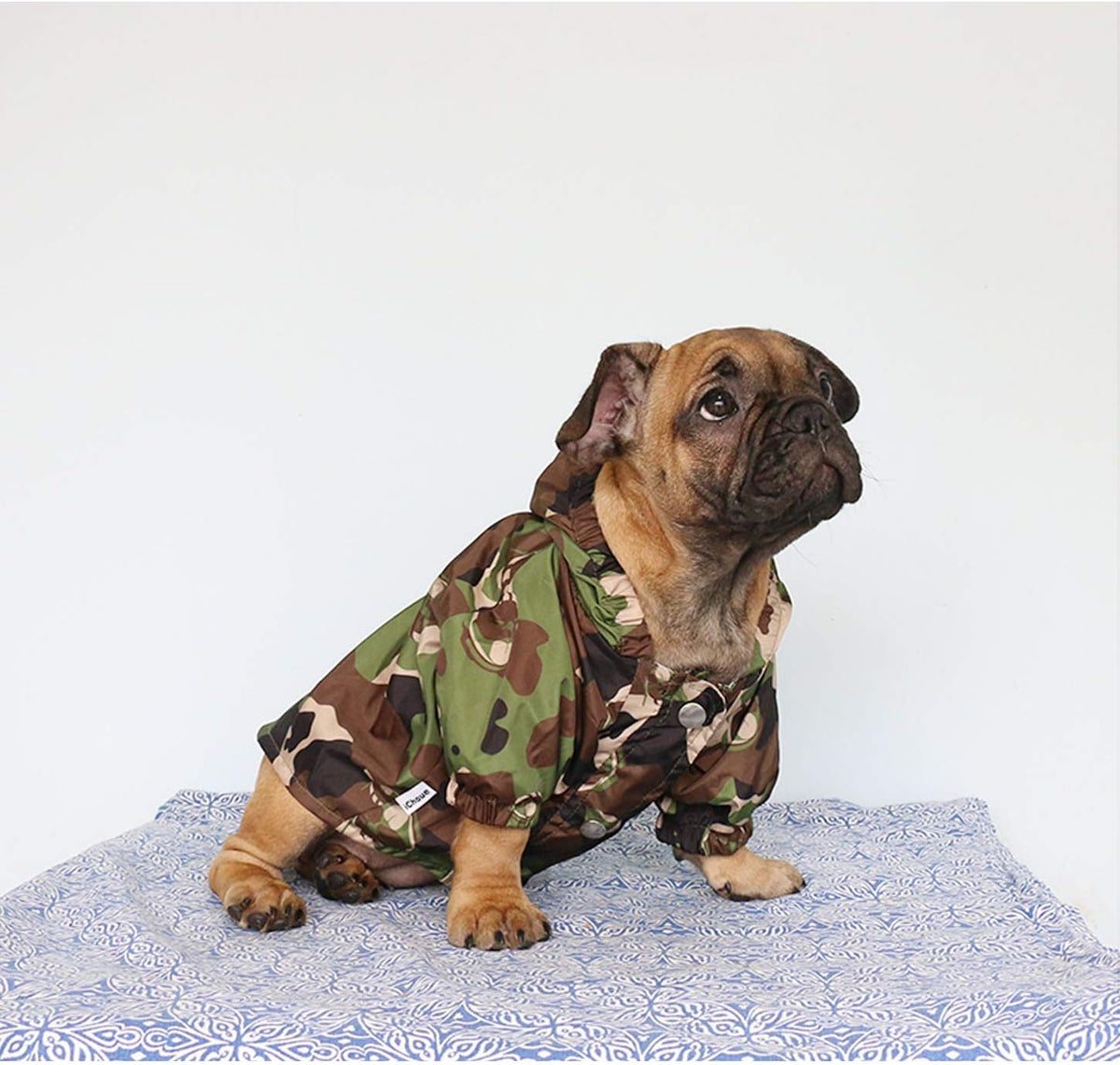iChoue Dog Cold Weather Coats Water Resistant Raincoats Lightweight Windbreaker Hooded Jackets for French English Bulldog Pitbull Pug Boston Terriers Outdoor Rain Coat - Camouflage, Small