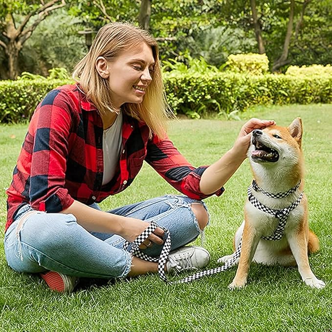 Roses&Poetry Dog Collar with Colourful Checkered Patterns, Adjustable Durable - Image 6