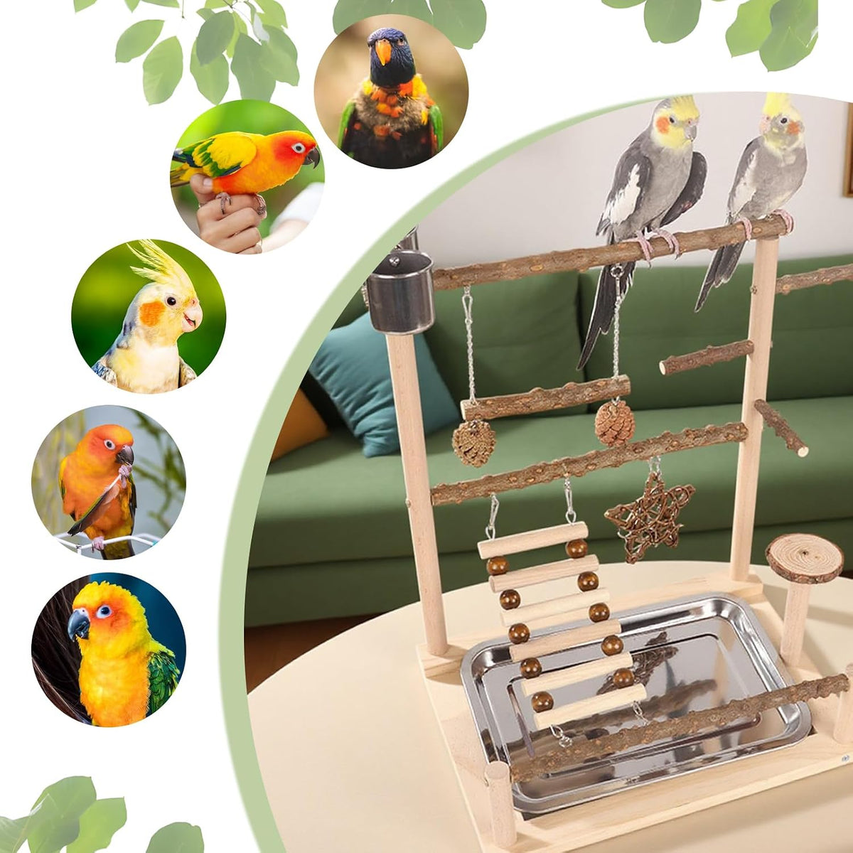 Bird Playground Parrot Perch Play Stand, Natural Wood Parakeet Playstand Cockatiel Toys, Budgie Play Gym & Cage Accessories - Removable Stainless Steel Tray, 2 Feeder Cups, Ladders & Swings