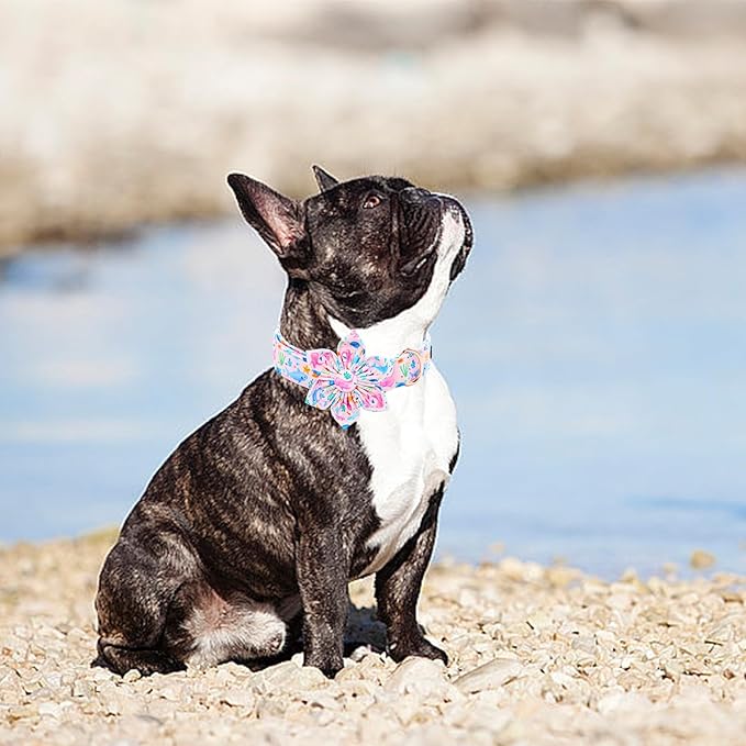 Lionheart glory Dog Collar Flower Pink Dog Collars - Image 6