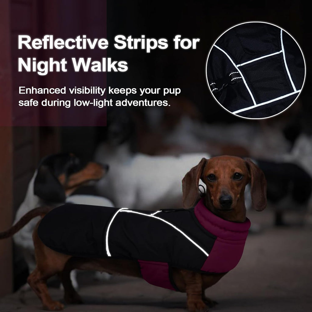 Lelepet Dachshund Coat Waterproof Reflective Dog Coat for Small Dogs