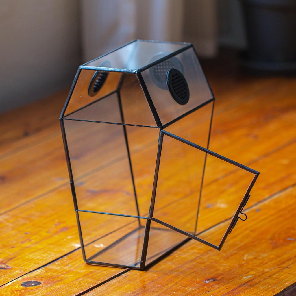 NCYP Gothic Glass Enclosure for Jumping Spider, Snails, Insects - Front Opening Door Geometric Terrarium with Vent Holes, Indoor Tabletop Coffin Shape Decor, Black (Terrarium Only)