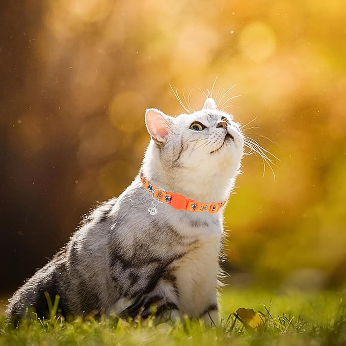 PUPTECK Breakaway Halloween Cat Collar - Image 6