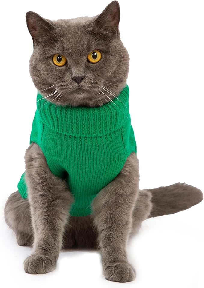 Stretchy Cat Sweater - Image 3