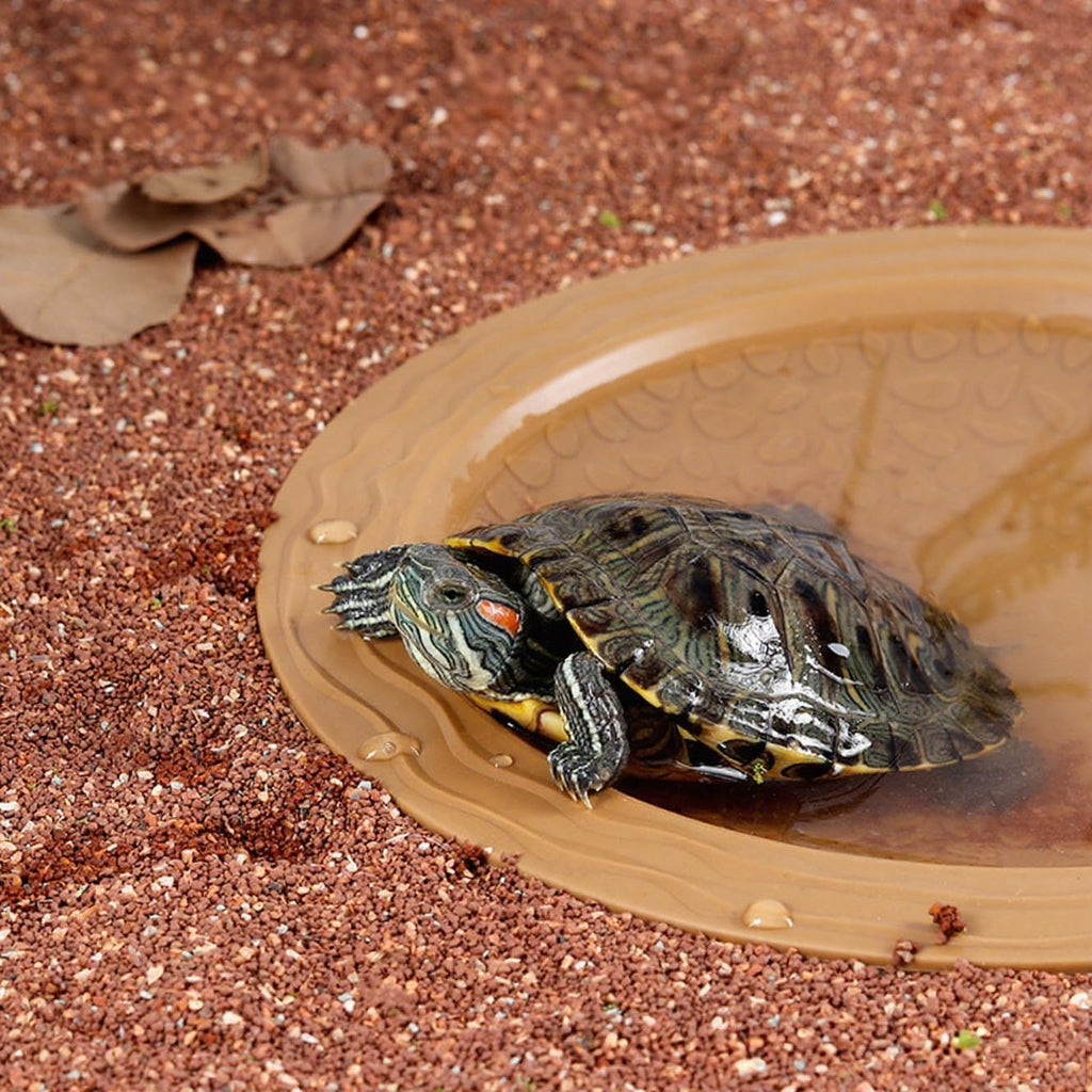 Turtle Bathing Pool Small, Resin Water Dish Feeding Bowl with Gentle Slope