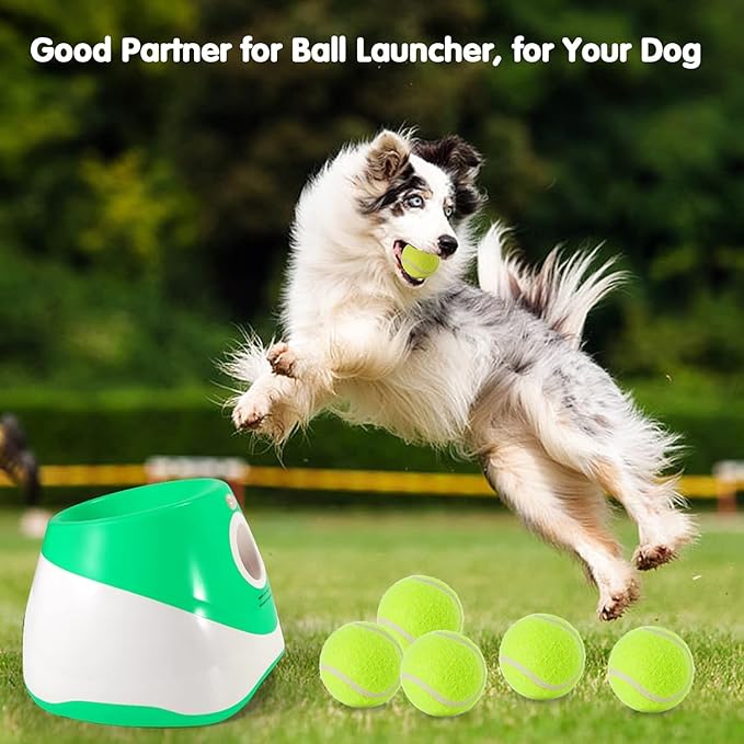 6 Pack Mini Tennis Balls for Pet Playing Fecth, 2 inch Dogs Training Tennis - Image 3