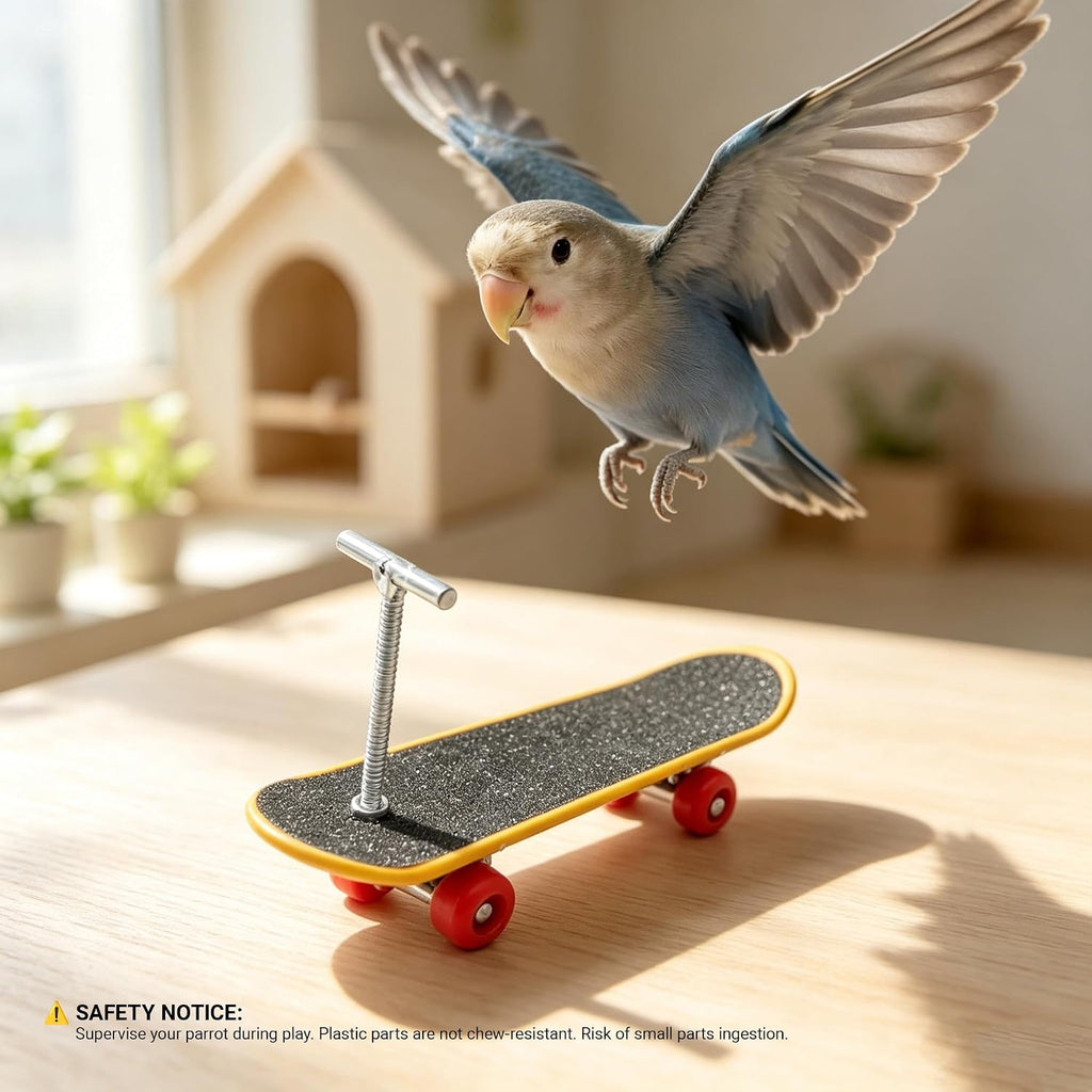 Parrot Training Toys Set 3 Pack Progressive Trick Skateboard Props