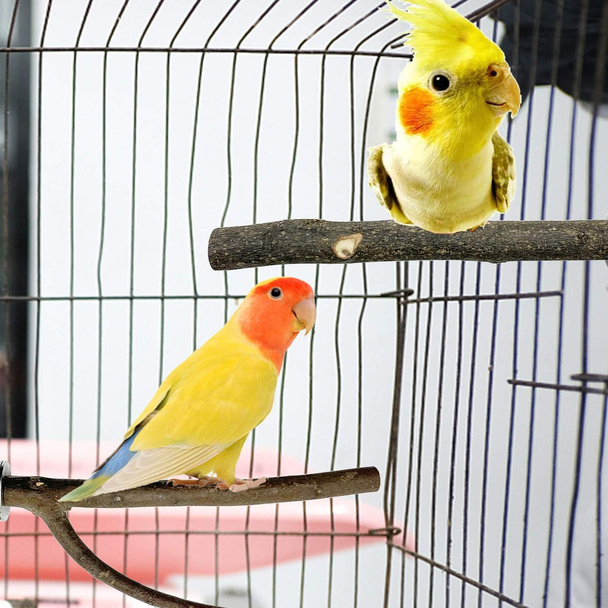 Bird Parrot Perch Set - 10PCS Natural Wood Parakeet Stand, Fork, Rod, Paw Grinding Stick for Budgies, Cockatiels, Conure, Lovebirds