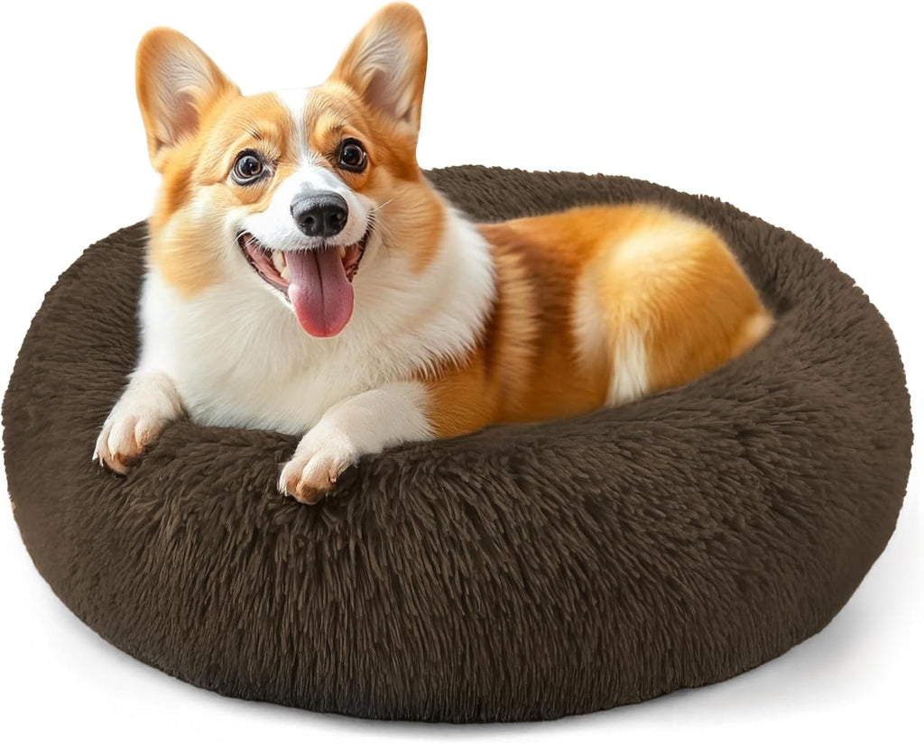 Hoewina Dog & Cat Bed for Indoor Cats, 20in Calming Donut Bed (Light Grey)