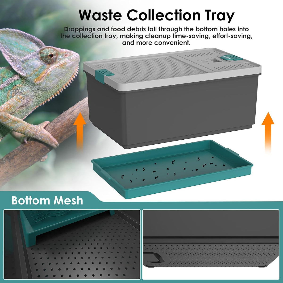 Self-Cleaning Cricket & Roach Feeder Habitat with Escape-Proof Lid