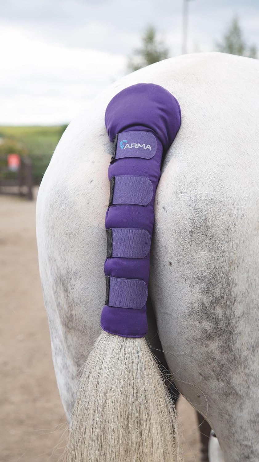 Shires Equestrian ARMA Padded Tail Guard