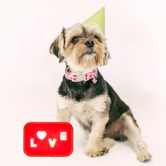 Valentines Dog Collar, Cute Pink Dog Collar - Image 4