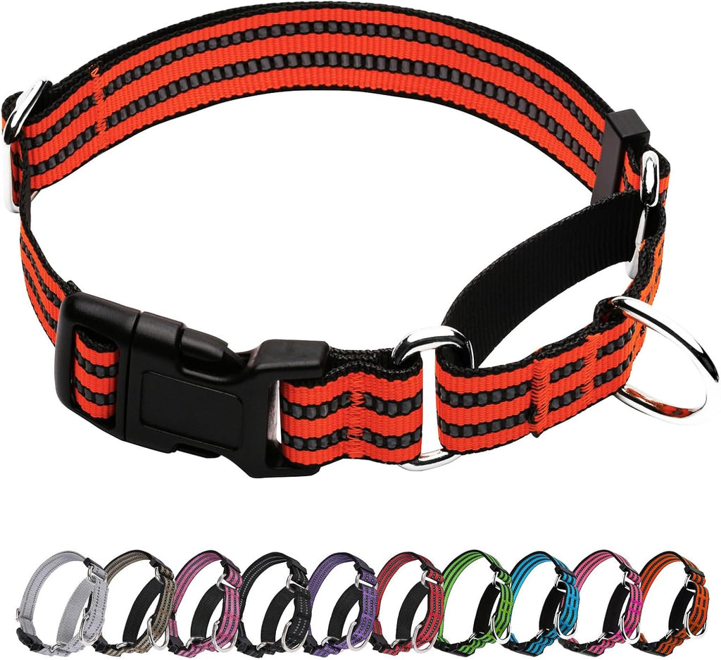 Martingale Collar for Dogs,No Pull No Choking(Bright Orange,L)