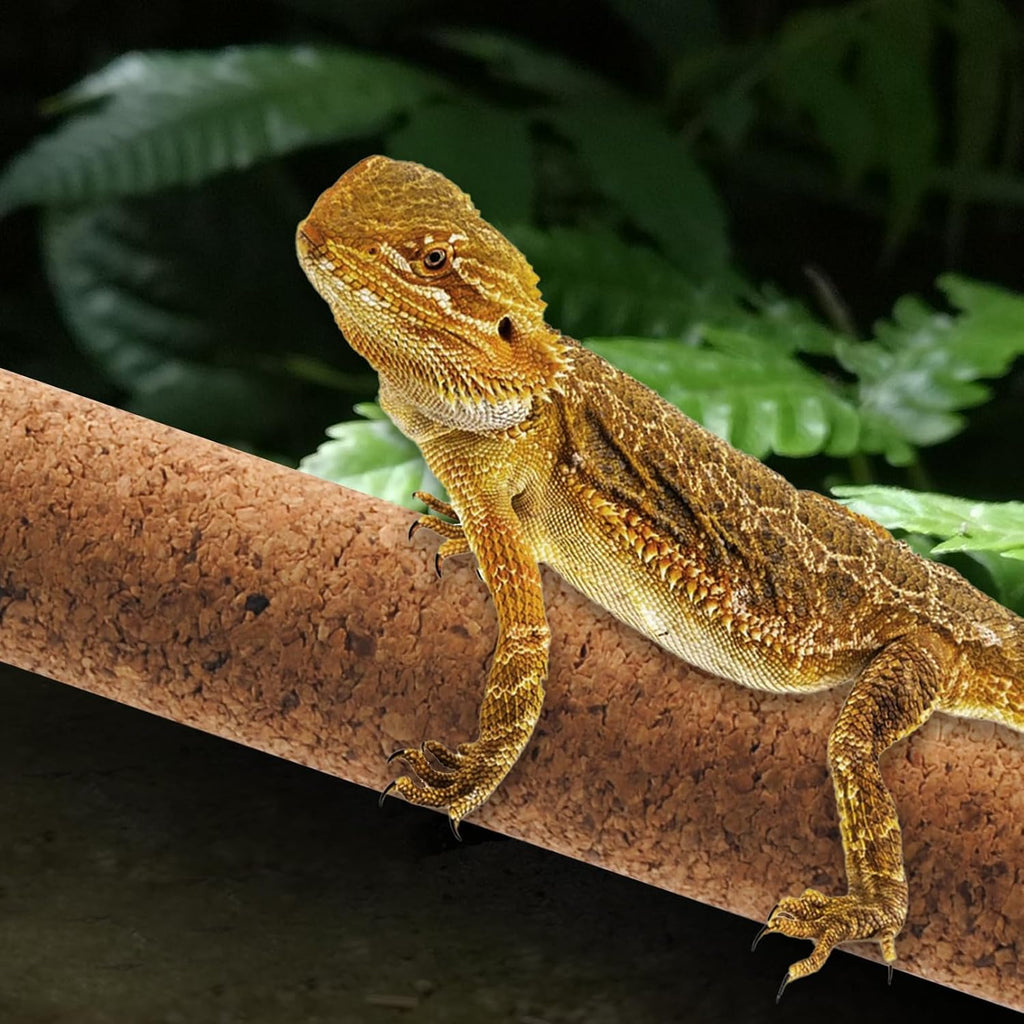 Natural Climbing Pet Cork Stick Natural Tree Frog Cork Wood Stick Branch Reptiles Climbing Branches Reptiles Use Cork Branches Climb Branches for Frogs, Snakes,Lizards, Bearded Dragons