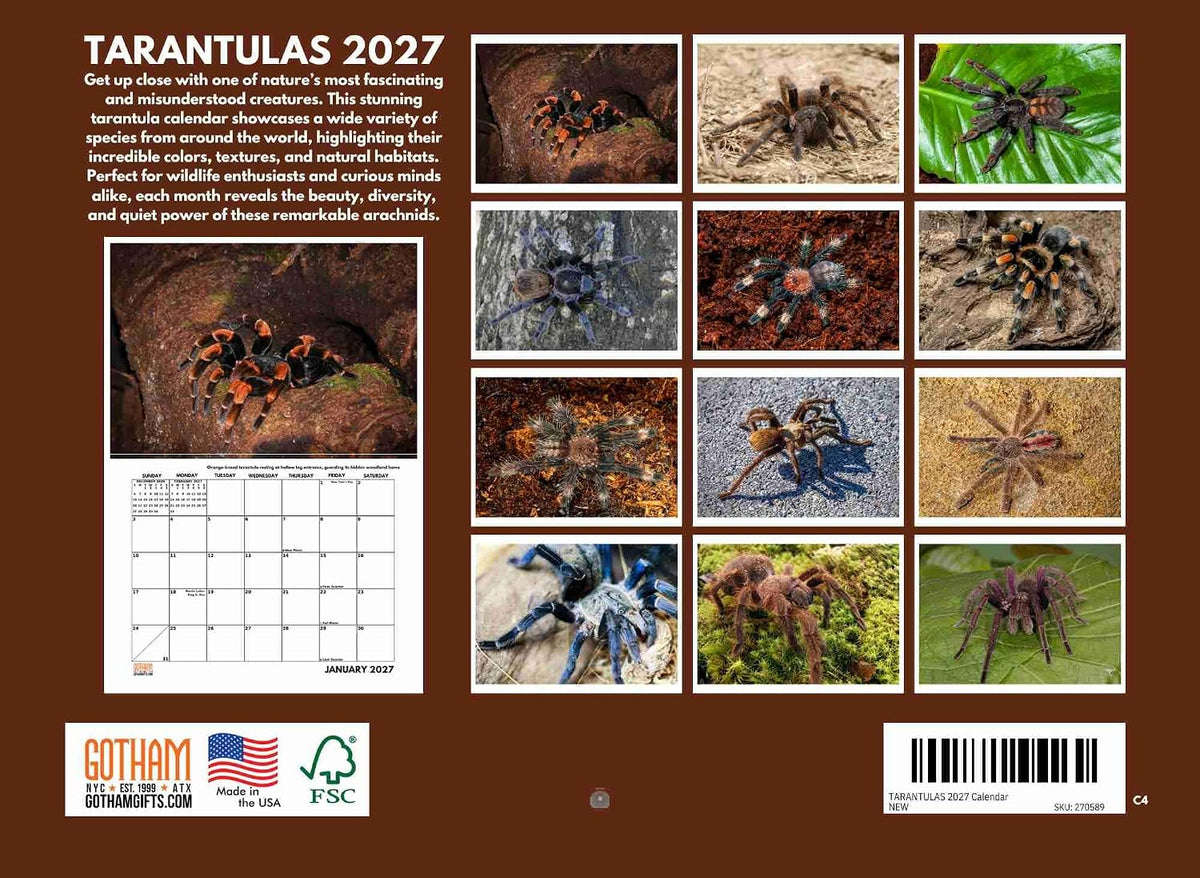 Tarantula Calendar 2027 Spider Monthly Wall Calender 12 Month