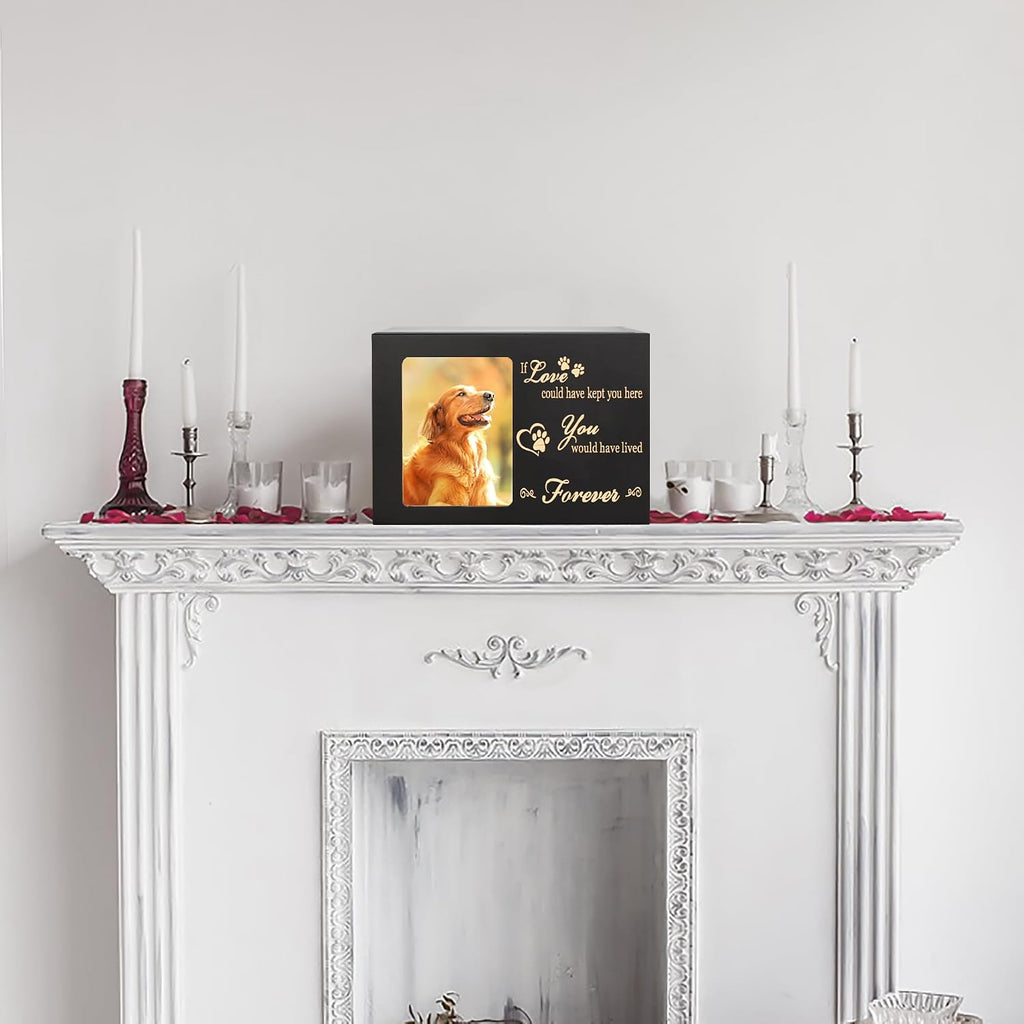 DGDCDV Pet Memorial Urns for Dogs Cats Ashes with Photo Frame