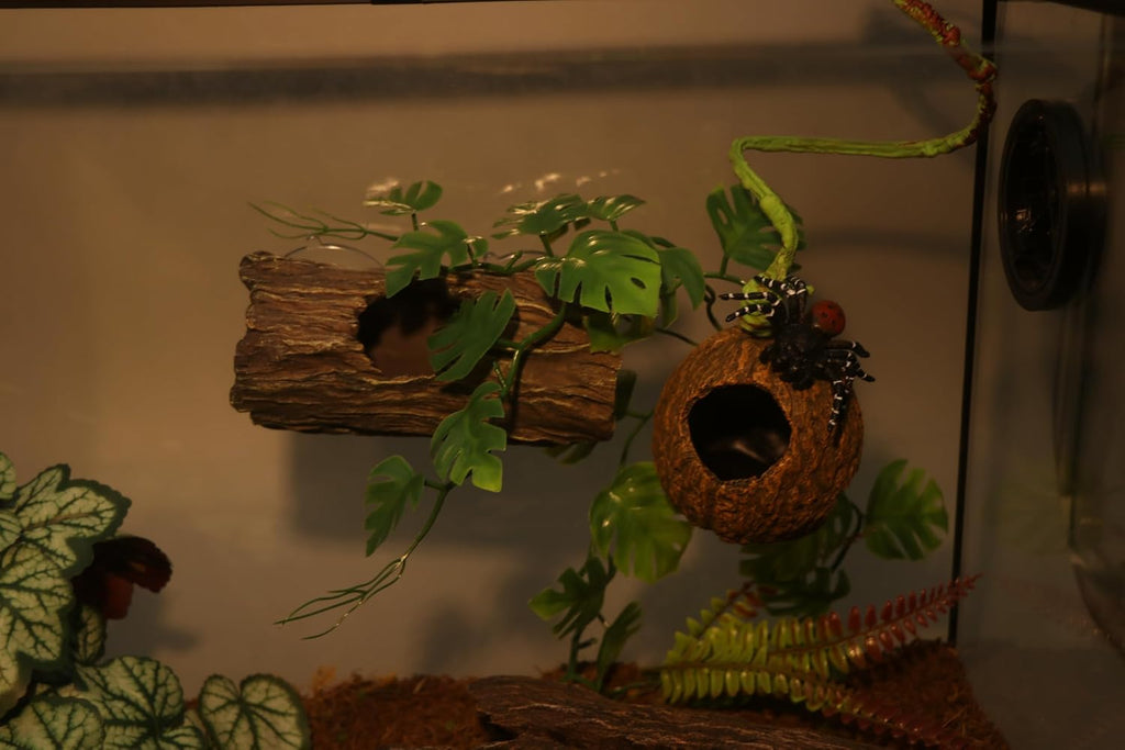 AQUA KT Reptile Jumping Spider Enclosure Hideout with Climbing Vine