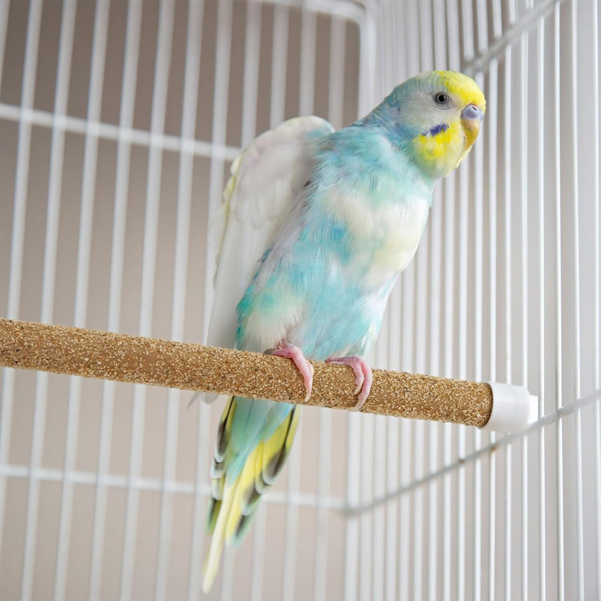 Okllen 60PCS Sand Perch Covers for Bird Cage, Perch Covers for Parakeet, Lovebird, Parrotlets, Budgies, Canaries, Finches and Other Small Birds