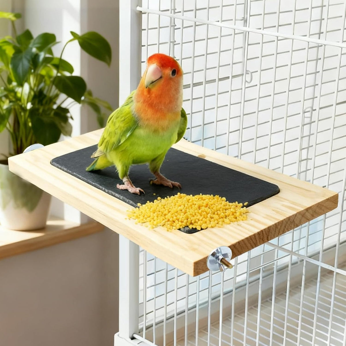 Bird Perch, Wooden Platform with Slate Rock, Bird Playground, Parakeet Shelf Stand Platform, Cage Accessories for Budgies, Cockatiels, Lovebirds, Green Cheeks, Small to Medium Birds