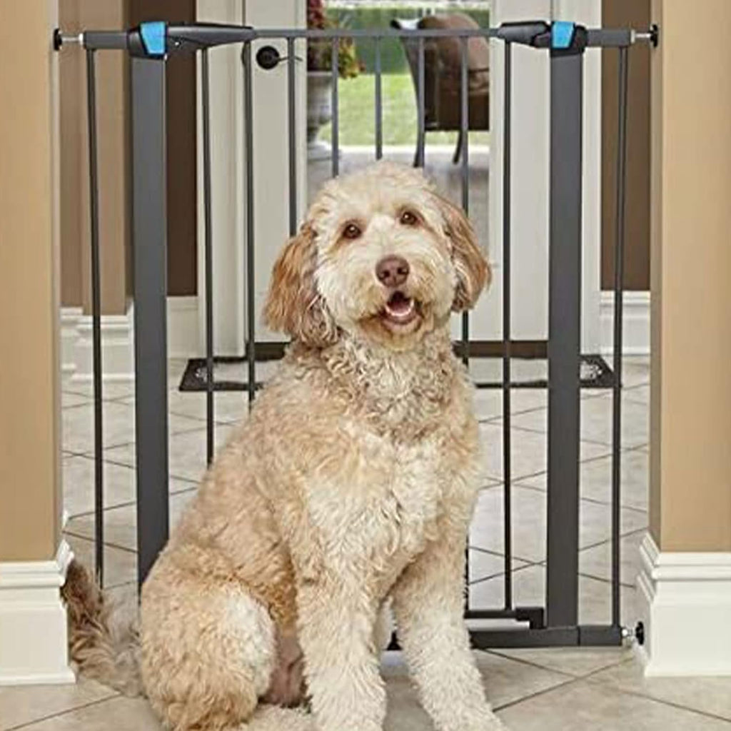 Midwest 39" Steel Dog Gate with Glow Strips, Graphite