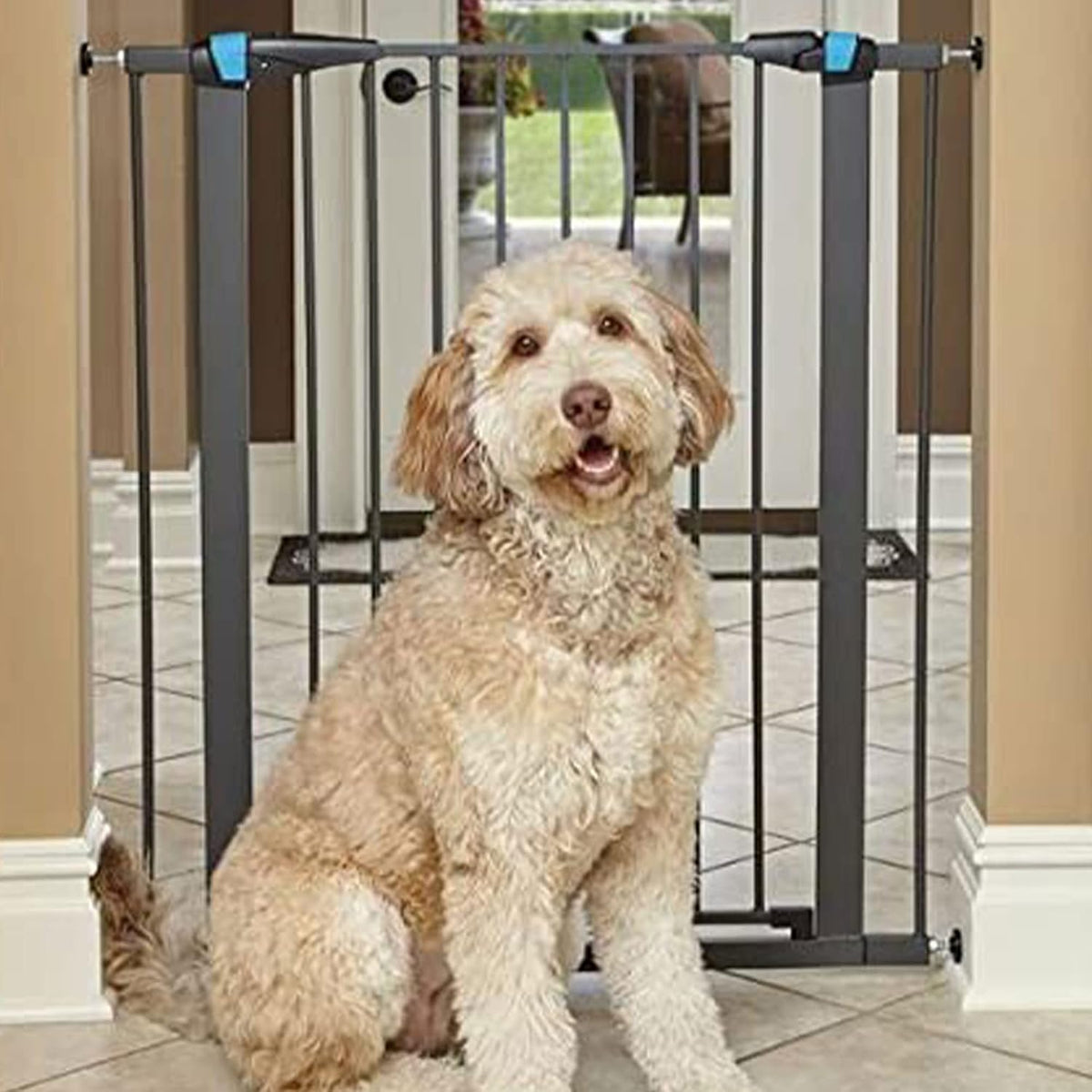 Midwest 39" Steel Dog Gate with Glow Strips, Graphite