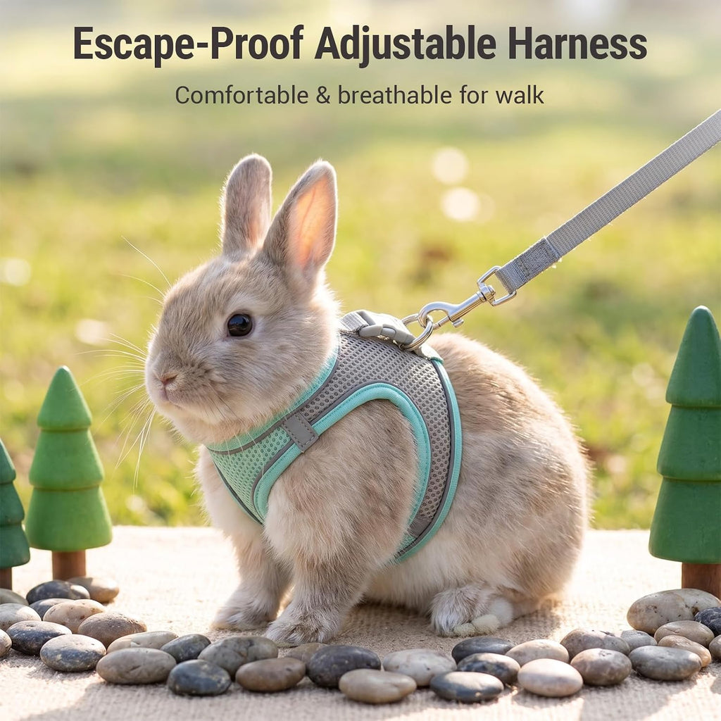 Rabbit Harness and Leash Set for Bunny, Reflective Small Pet Vest