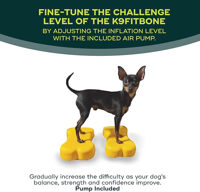 Mini K9fitbone Balance Training Platform - Image 5