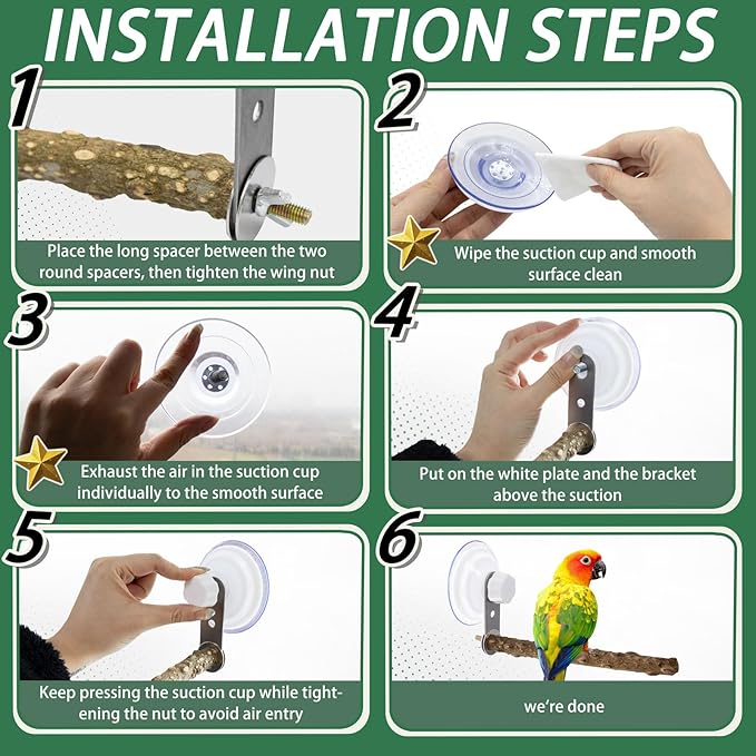 2 Pcs Natural Bird Perch Stand - Image 5