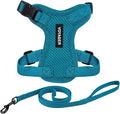 Voyager Escape-Proof Step-in Lock Cat Harness & 5ft Neoprene-Handle Leash Set by BestPetSuppliesLLC