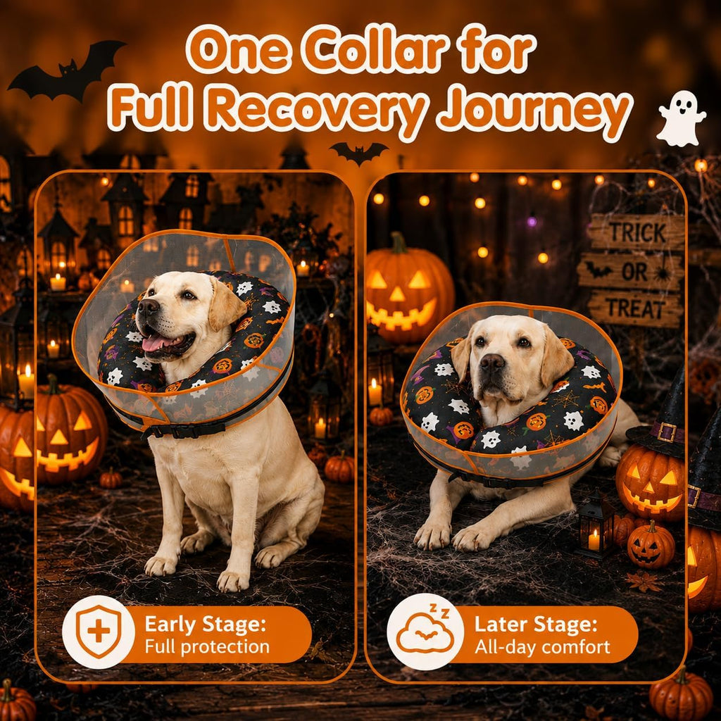 Avont 2-in-1 Dog Cone XL Halloween Shield, Halloween Dog Costume