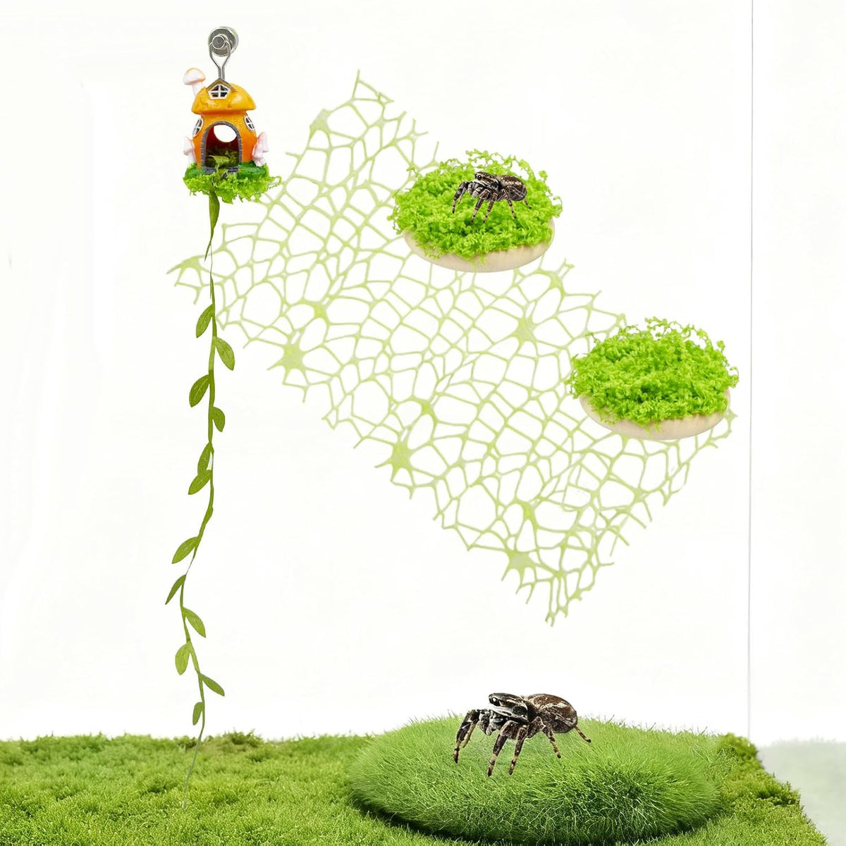 Magnetic Jumping Spider Habitat Decor Set - Mushroom Hideout, Climbing Web & Wood Platforms with Magnets for Enclosure Decoration