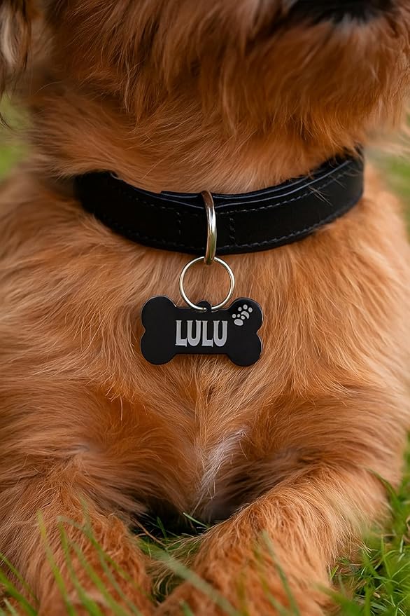 Stainless Steel Personalized Pet ID Tags, Art Design - Image 4