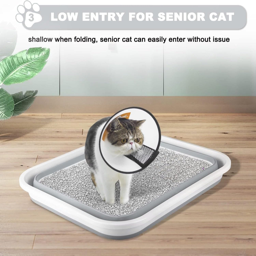 Low Entry Senior Cat Litter Box for Arthritic, Frail and Disabled Cats