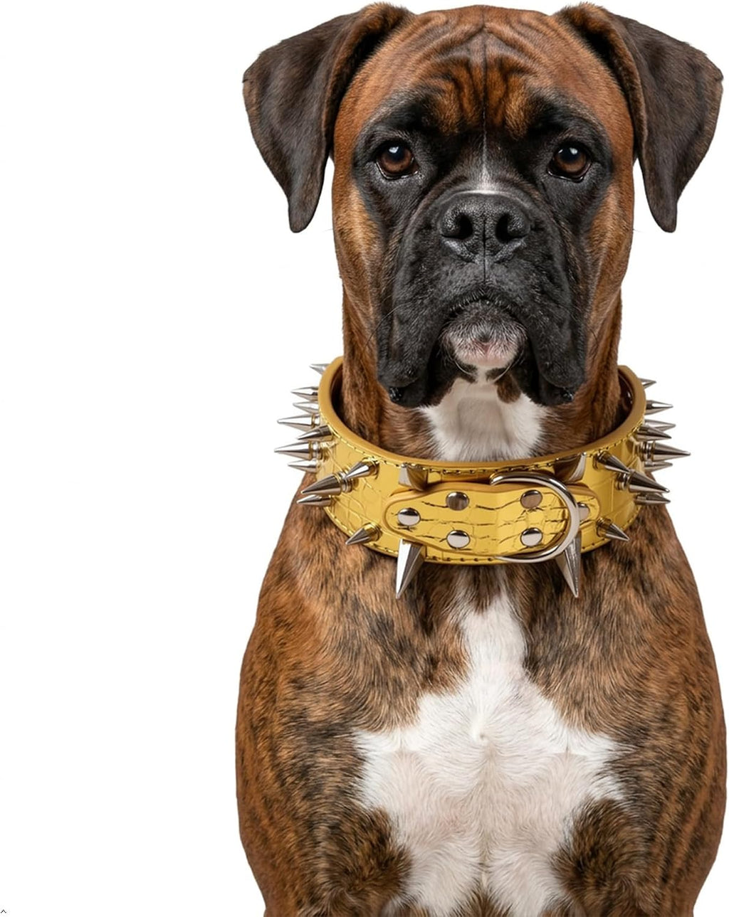 Spiked Dog Collar for Large Dogs Shepherd Doberman Labrador (Gold,XL-Neck 18-21 Inch)