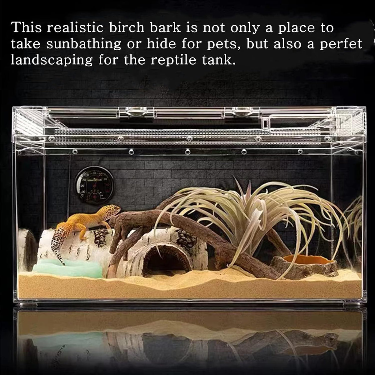 Reptile Hides and Caves Birch Tree Bark Trunk Habitats Decor Aquarium Decoration Wood for Lizard Geckos Snake Spiders Frogs Turtle (Medium)