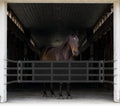 Aisle Guard Adjustable Length 10' to 12' Stall Guards