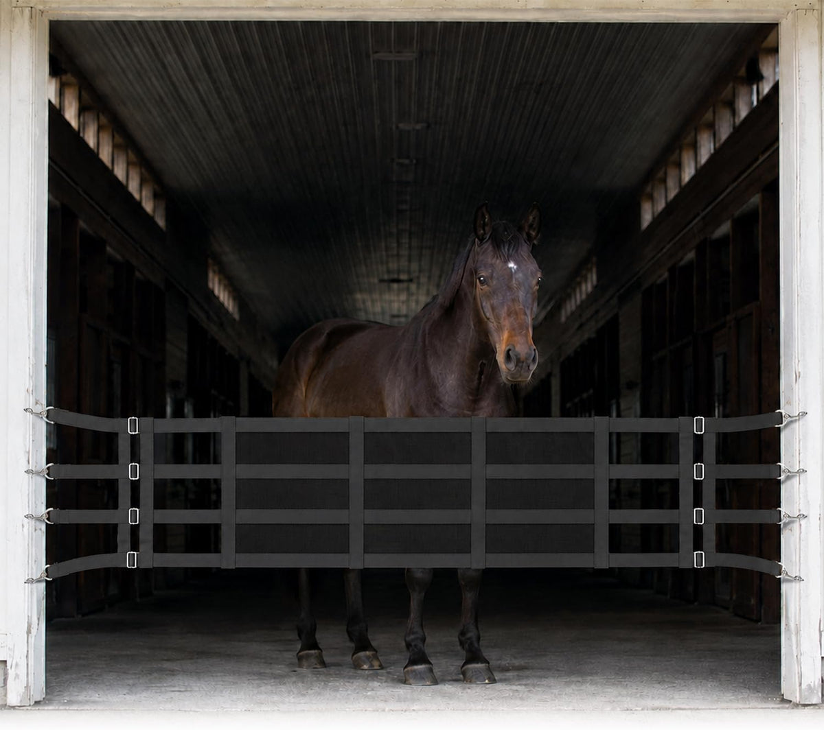 Aisle Guard Adjustable Length 10' to 12' Stall Guards