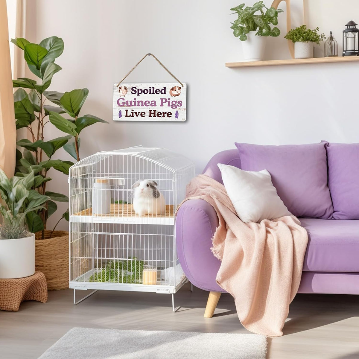Big Hamster Ball & Guinea Pig Hideout - Stuffed Animals & Accessories for Guinea Pig Cage - 12x6 In Wooden Sign