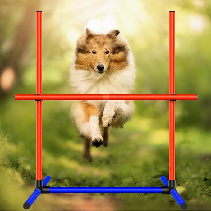 Dog Agility Training Equipment, Dog Obstacle Course Training Starter Kit Pet - Image 7