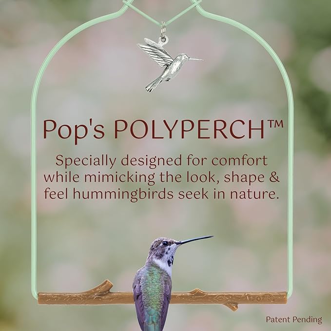 Pop's Birding Hummingbird Swing, USA Made Original Charm Humming Bird Swing - Image 2