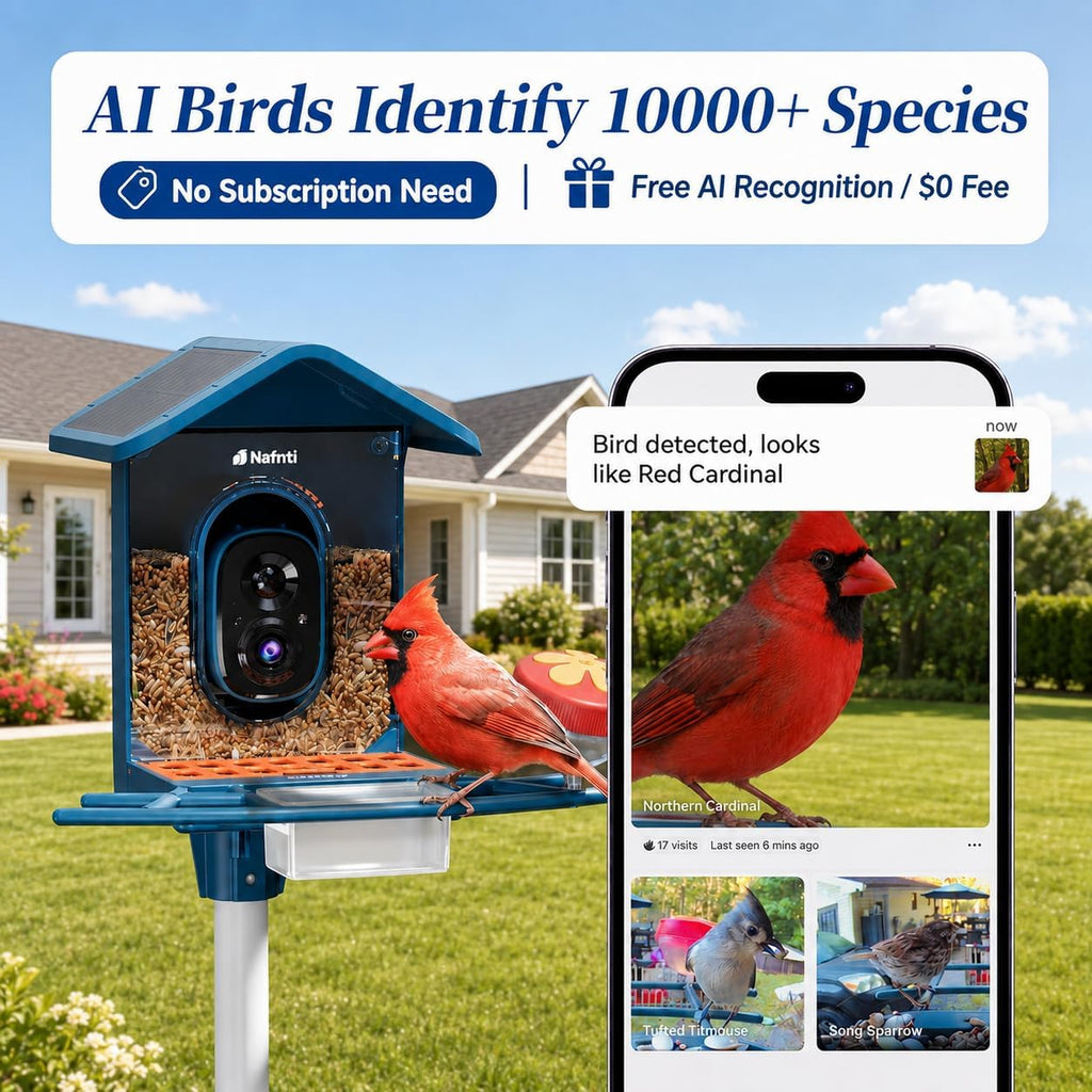 Smart Bird Feeder with Camera 5GHz No Subscription, Solar Powered
